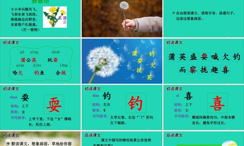 第五单元 16 金色的草地课件