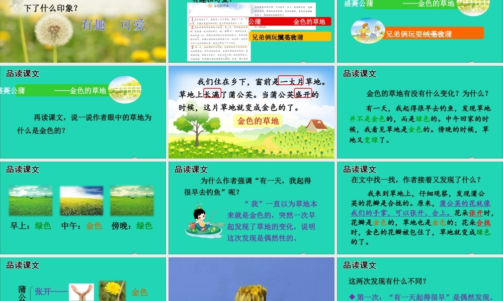 第五单元 16 金色的草地课件