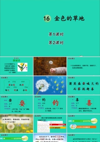 第五单元 16 金色的草地课件