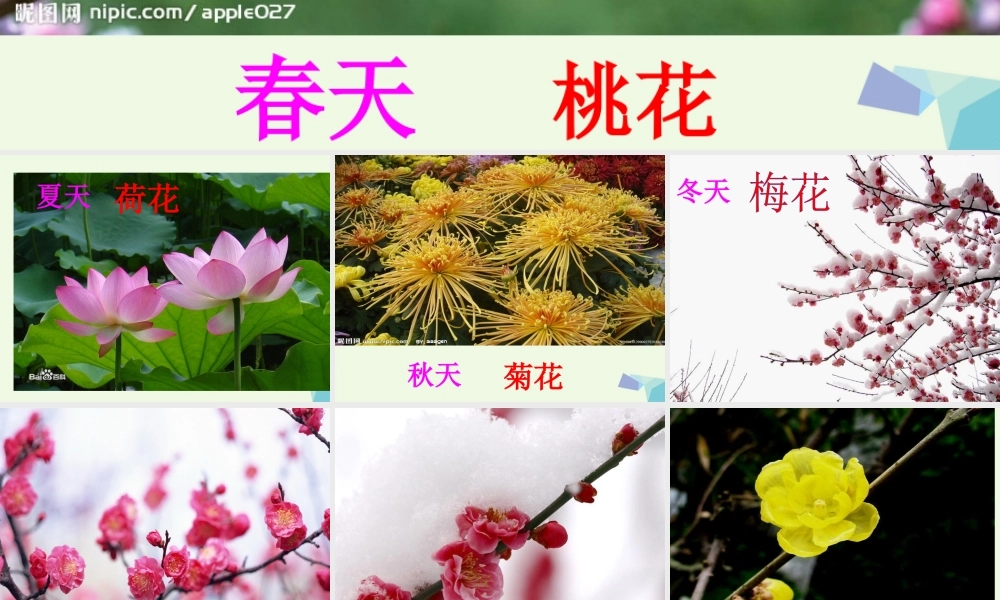 （秋季版）一年级语文上册 古诗诵读 梅花课件1 鄂教版-鄂教版小学一年级上册语文课件