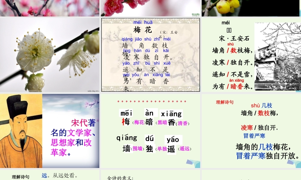 （秋季版）一年级语文上册 古诗诵读 梅花课件1 鄂教版-鄂教版小学一年级上册语文课件