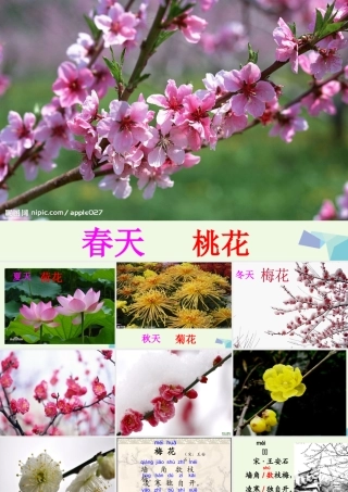 （秋季版）一年级语文上册 古诗诵读 梅花课件1 鄂教版-鄂教版小学一年级上册语文课件