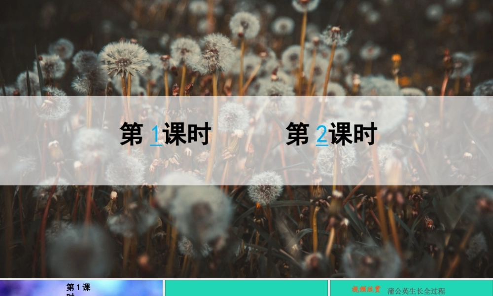 第五单元 16《金色的草地》课件