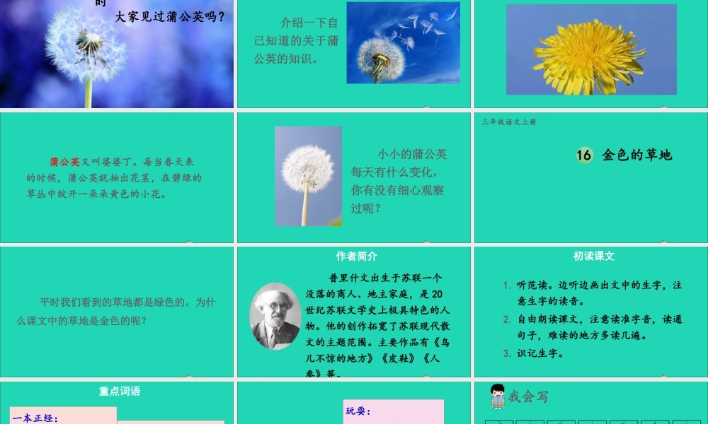 第五单元 16《金色的草地》课件