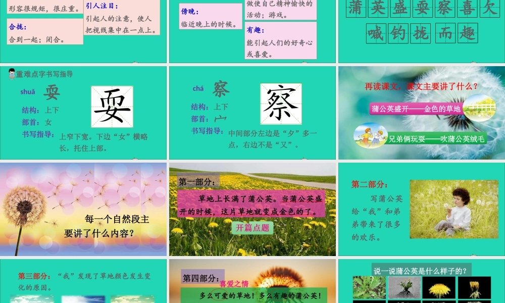 第五单元 16《金色的草地》课件