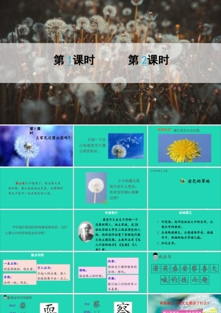 第五单元 16《金色的草地》课件