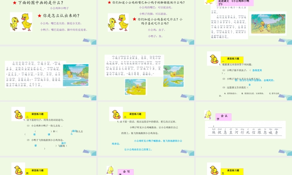 （秋季版）一年级语文下册 第5课 小公鸡和小鸭子课件 新人教版-新人教版小学一年级下册语文课件