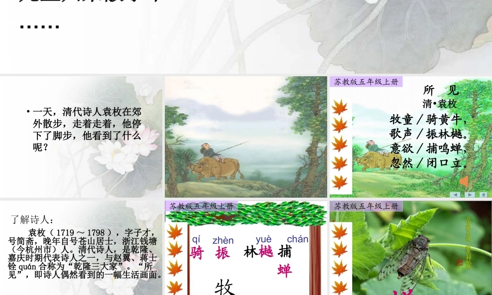 （秋季版）一年级语文上册 古诗诵读 所见课件2 鄂教版-鄂教版小学一年级上册语文课件