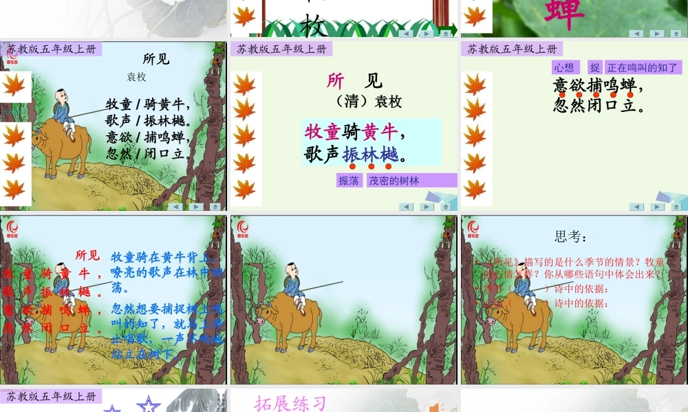 （秋季版）一年级语文上册 古诗诵读 所见课件2 鄂教版-鄂教版小学一年级上册语文课件