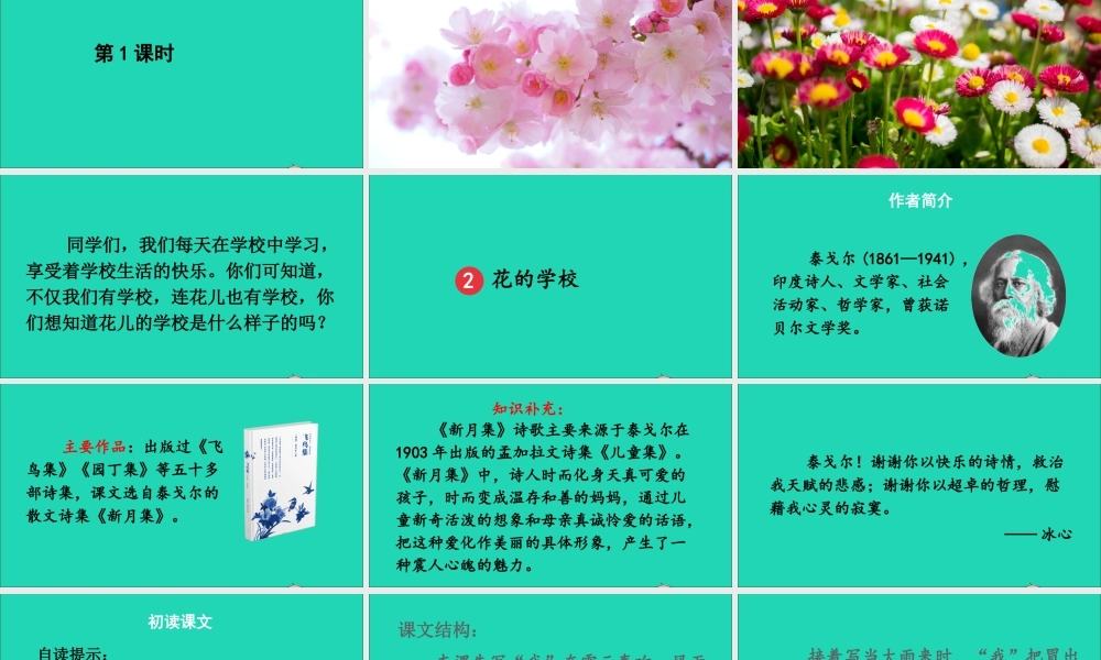 第一单元 2《花的学校》课件