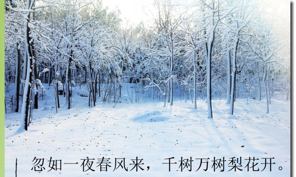 秋四年级语文上册《下雪的早晨》课件2 北师大版-北师大版小学四年级上册语文课件