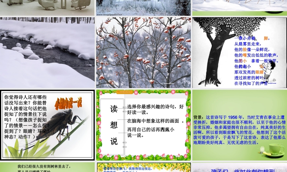 秋四年级语文上册《下雪的早晨》课件4 北师大版-北师大版小学四年级上册语文课件