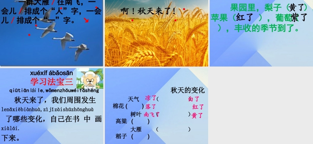 （秋季版）一年级语文上册 课文1 1 秋天课件1 新人教版-新人教版小学一年级上册语文课件