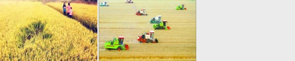 （秋季版）一年级语文上册 课文1 1 秋天课件2 新人教版-新人教版小学一年级上册语文课件