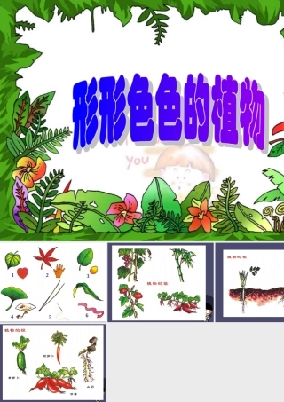 秋四年级语文上册《形形色色的植物》课件1 冀教版-冀教版小学四年级上册语文课件