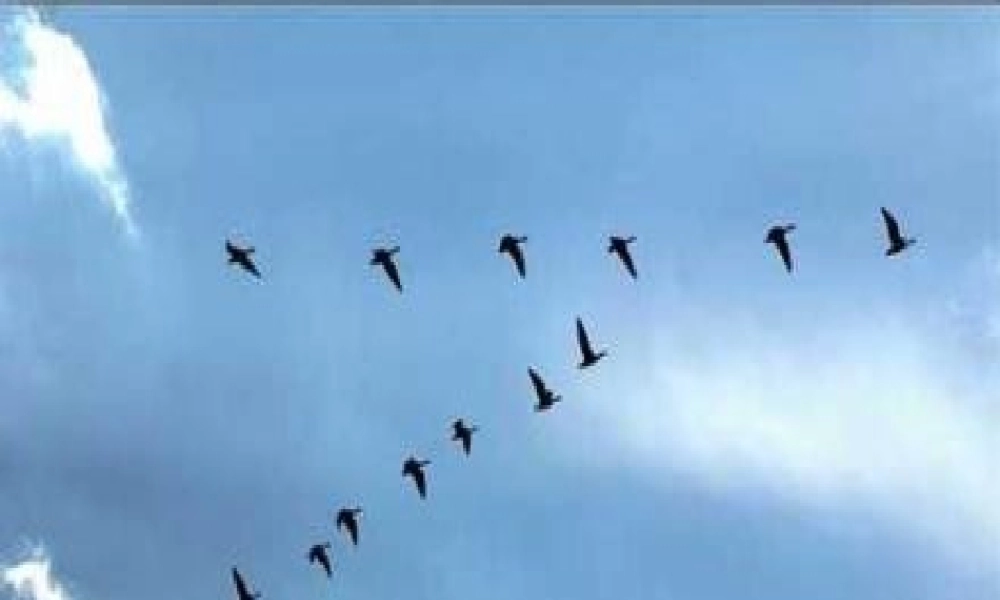 （秋季版）一年级语文上册 课文1 1 秋天课件3 新人教版-新人教版小学一年级上册语文课件