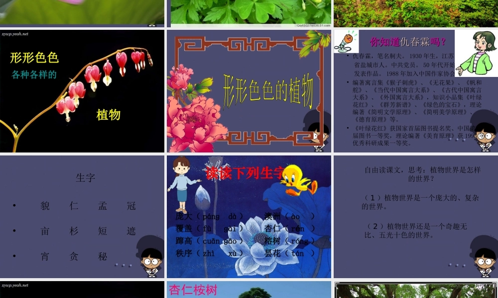 秋四年级语文上册《形形色色的植物》课件2 冀教版-冀教版小学四年级上册语文课件