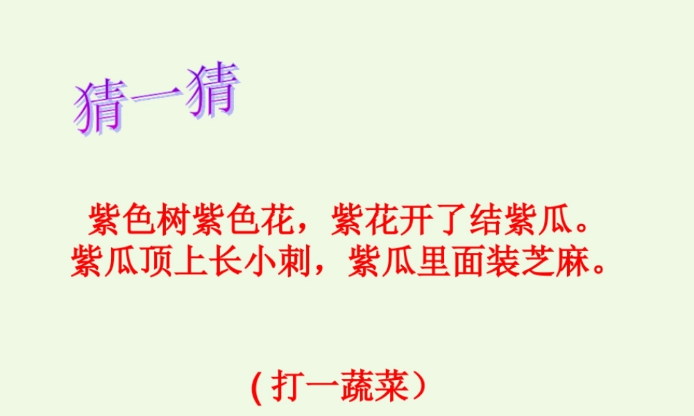 （秋季版）一年级语文下册 第11课 热闹的菜地课件1 西师大版-西师大版小学一年级下册语文课件