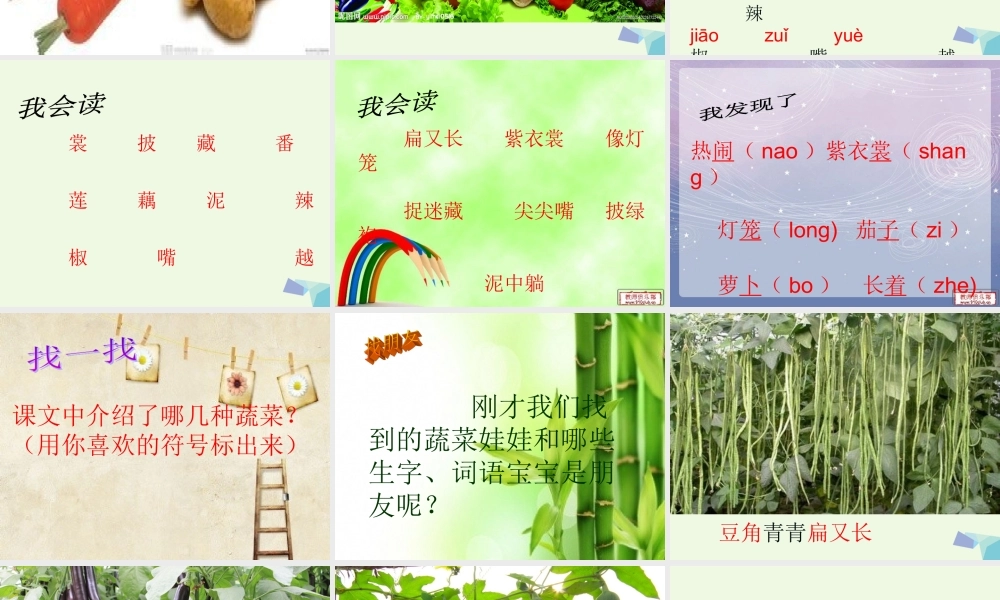 （秋季版）一年级语文下册 第11课 热闹的菜地课件1 西师大版-西师大版小学一年级下册语文课件