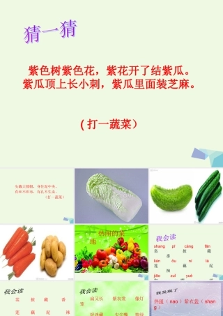 （秋季版）一年级语文下册 第11课 热闹的菜地课件1 西师大版-西师大版小学一年级下册语文课件