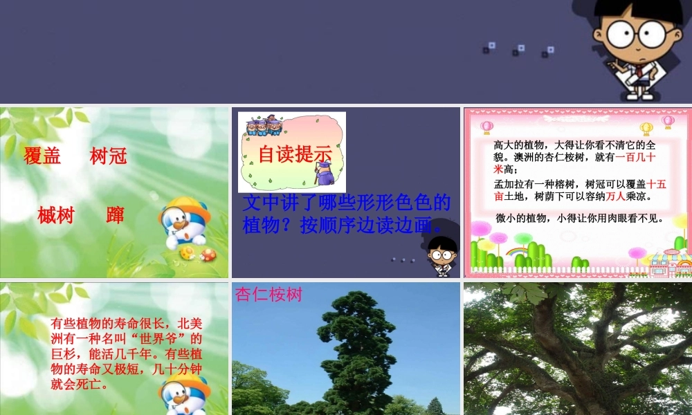 秋四年级语文上册《形形色色的植物》课件3 冀教版-冀教版小学四年级上册语文课件