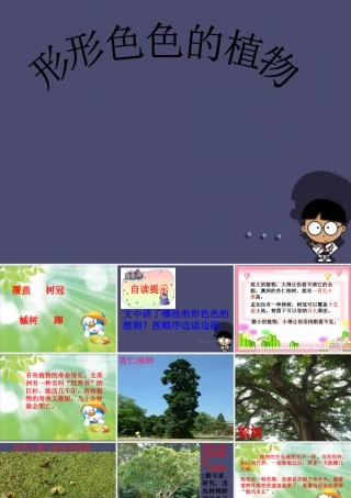 秋四年级语文上册《形形色色的植物》课件3 冀教版-冀教版小学四年级上册语文课件
