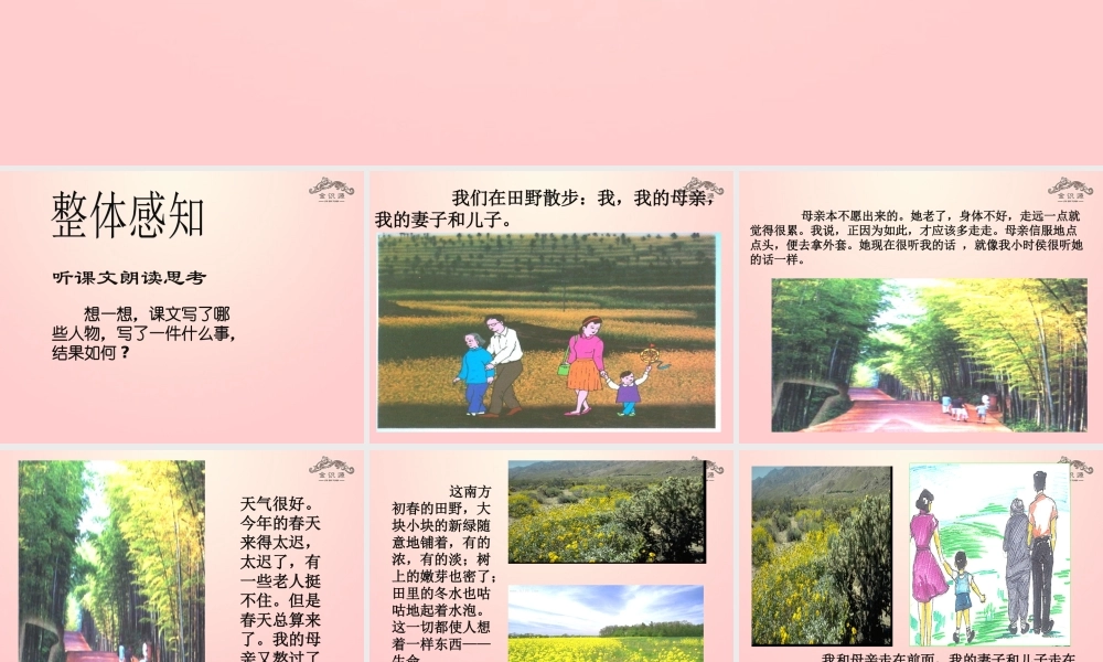 金级语文上册 第二单元 10《散步》课件 鲁教版五四制-鲁教版五四级上册语文课件