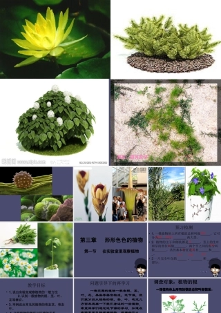 秋四年级语文上册《形形色色的植物》课件4 冀教版-冀教版小学四年级上册语文课件