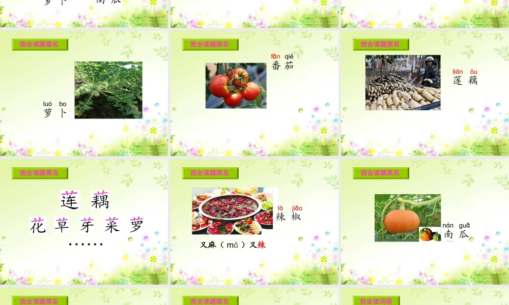 （秋季版）一年级语文下册 第11课 热闹的菜地课件3 西师大版-西师大版小学一年级下册语文课件