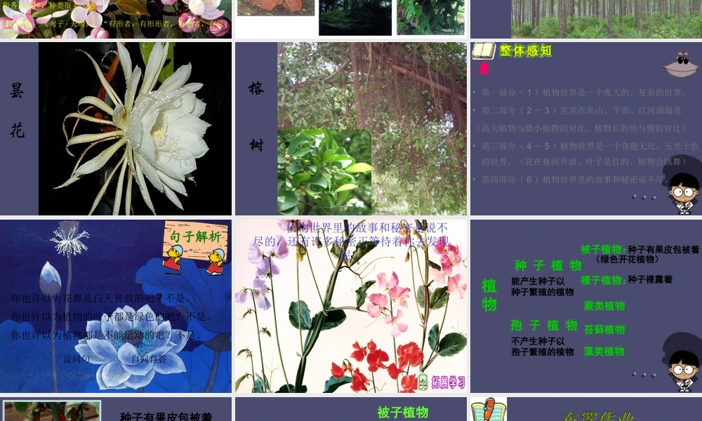 秋四年级语文上册《形形色色的植物》课件5 冀教版-冀教版小学四年级上册语文课件