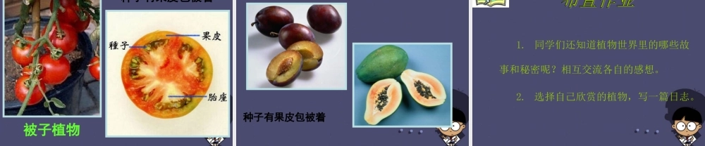 秋四年级语文上册《形形色色的植物》课件5 冀教版-冀教版小学四年级上册语文课件