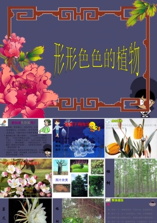 秋四年级语文上册《形形色色的植物》课件5 冀教版-冀教版小学四年级上册语文课件