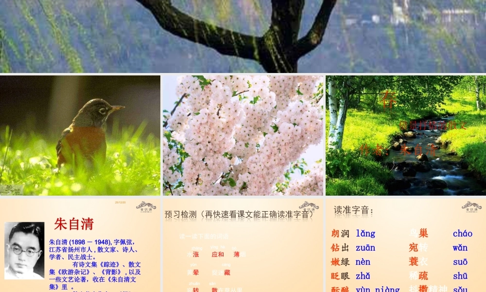 金级语文上册 第三单元 13《春》课件 鲁教版五四制-鲁教版五四级上册语文课件