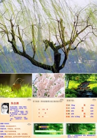 金级语文上册 第三单元 13《春》课件 鲁教版五四制-鲁教版五四级上册语文课件