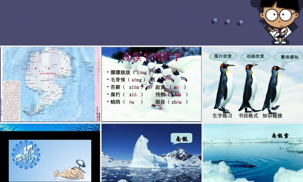 秋四年级语文上册《一封从南极寄来的信》课件1 冀教版-冀教版小学四年级上册语文课件