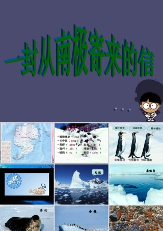 秋四年级语文上册《一封从南极寄来的信》课件1 冀教版-冀教版小学四年级上册语文课件