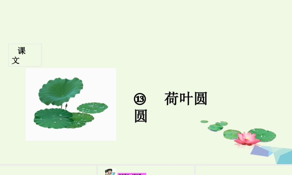 （秋季版）一年级语文下册 第13课 荷叶圆圆课件 新人教版-新人教版小学一年级下册语文课件