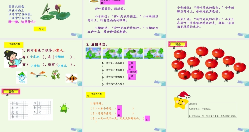 （秋季版）一年级语文下册 第13课 荷叶圆圆课件 新人教版-新人教版小学一年级下册语文课件