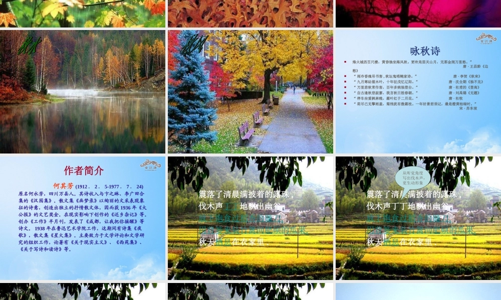 金级语文上册 第三单元 16《秋天》课件 鲁教版五四制-鲁教版五四级上册语文课件