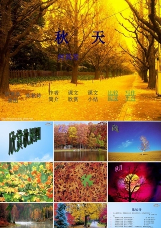 金级语文上册 第三单元 16《秋天》课件 鲁教版五四制-鲁教版五四级上册语文课件