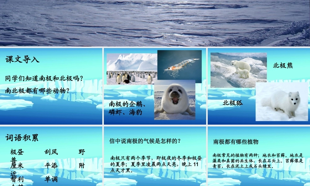 秋四年级语文上册《一封从南极寄来的信》课件2 冀教版-冀教版小学四年级上册语文课件