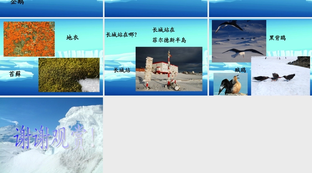 秋四年级语文上册《一封从南极寄来的信》课件2 冀教版-冀教版小学四年级上册语文课件