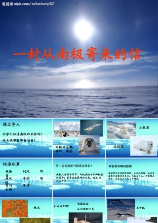 秋四年级语文上册《一封从南极寄来的信》课件2 冀教版-冀教版小学四年级上册语文课件