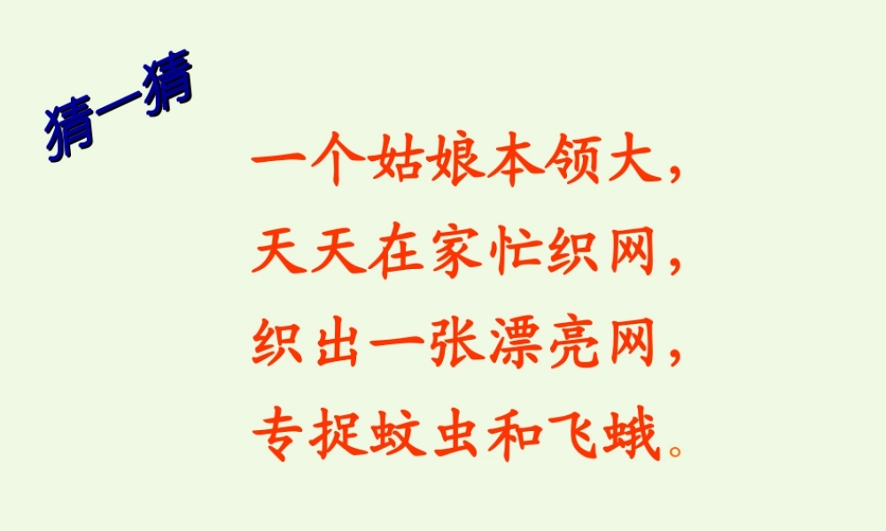 （秋季版）一年级语文下册 第13课 蜘蛛织网课件 西师大版-西师大版小学一年级下册语文课件