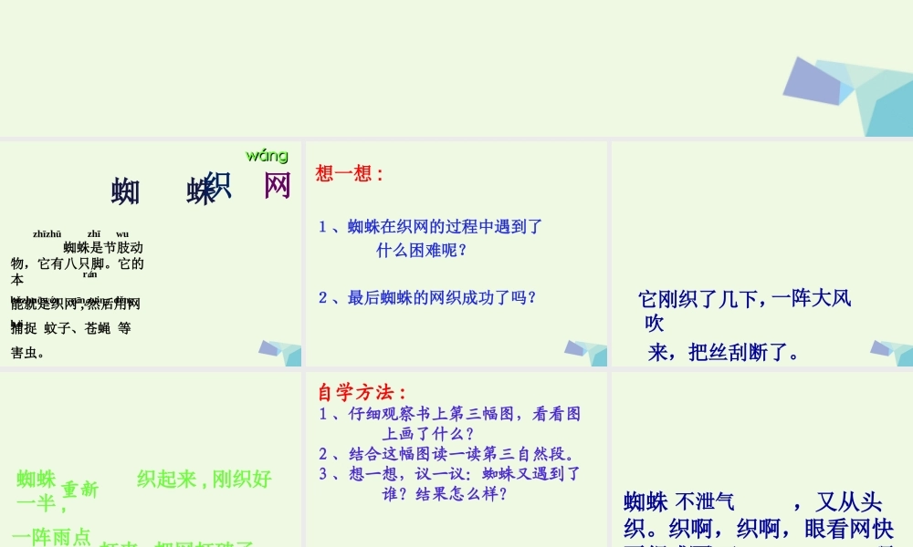 （秋季版）一年级语文下册 第13课 蜘蛛织网课件 西师大版-西师大版小学一年级下册语文课件