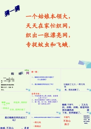 （秋季版）一年级语文下册 第13课 蜘蛛织网课件 西师大版-西师大版小学一年级下册语文课件