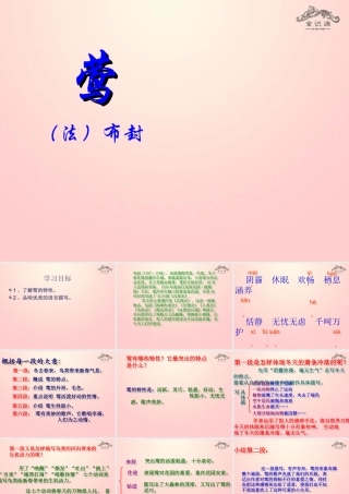 金级语文上册 第四单元 19《莺》课件 鲁教版五四制-鲁教版五四级上册语文课件