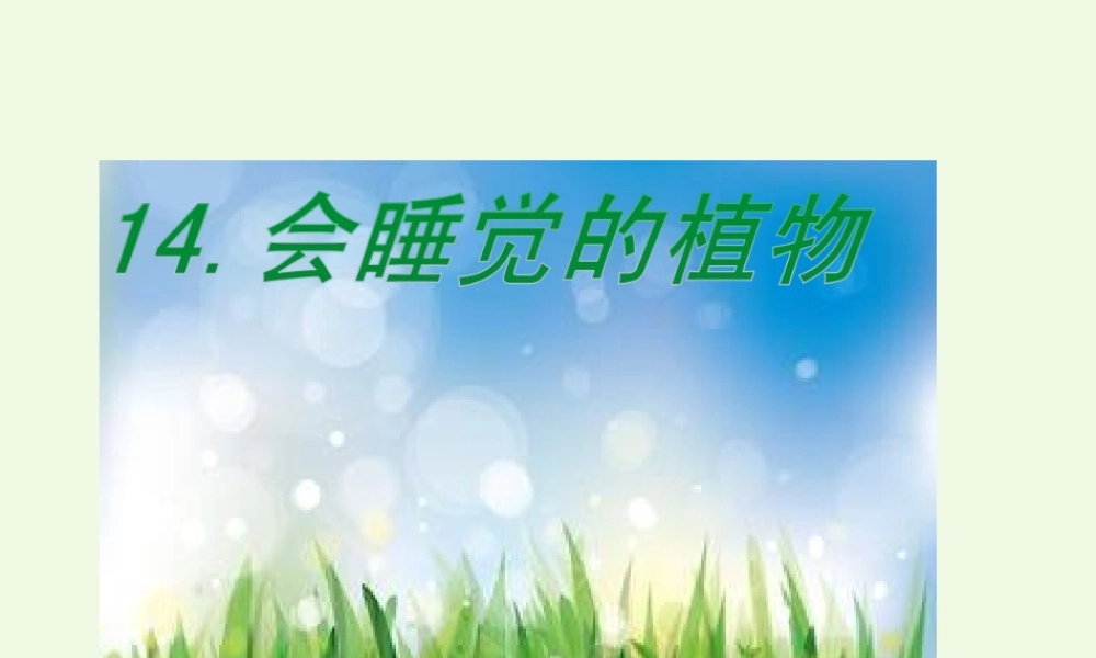 （秋季版）一年级语文下册 第14课 会睡觉的植物课件 苏教版-苏教版小学一年级下册语文课件