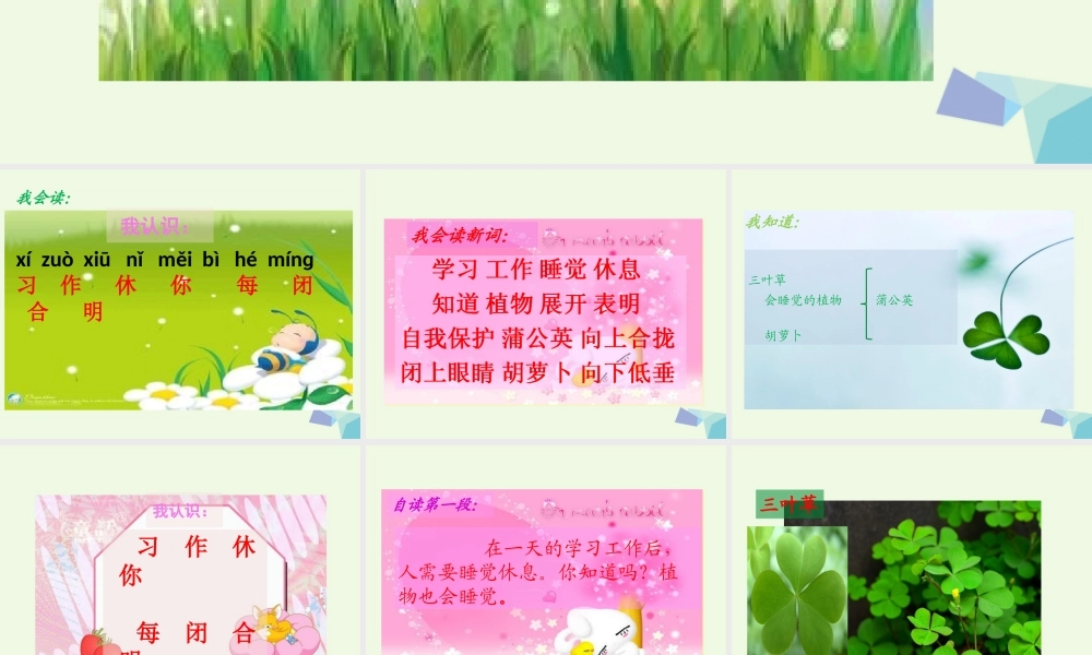 （秋季版）一年级语文下册 第14课 会睡觉的植物课件 苏教版-苏教版小学一年级下册语文课件