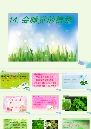 （秋季版）一年级语文下册 第14课 会睡觉的植物课件 苏教版-苏教版小学一年级下册语文课件